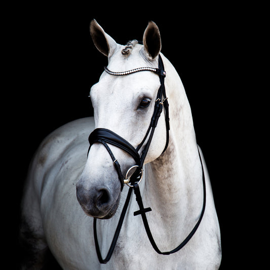 Stübben Switch Bridle with Magic Tack