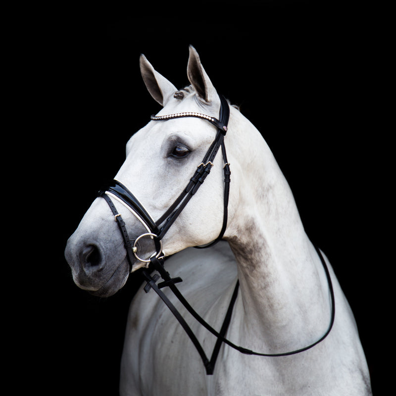 Stübben Switch Bridle with Magic Tack